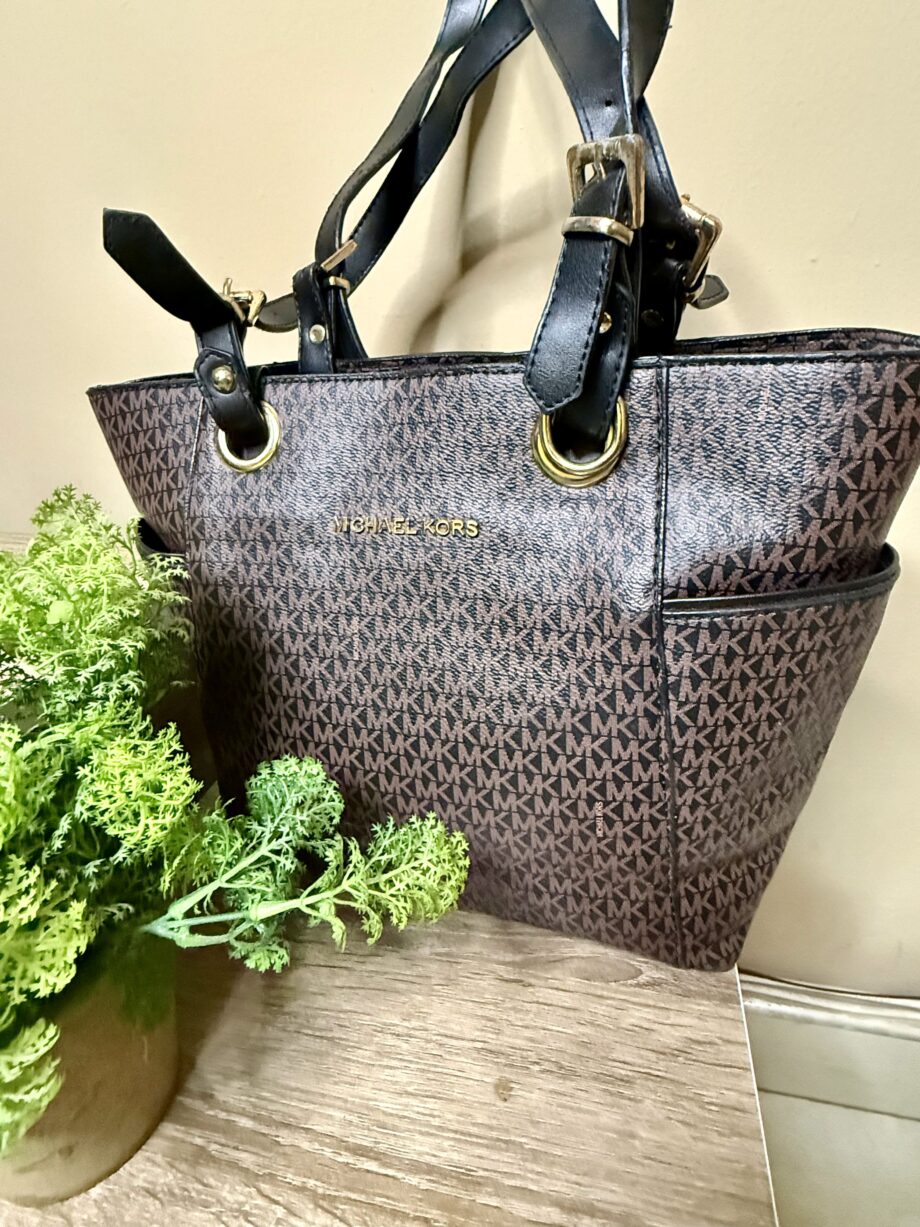 Michael Kors Cooperate Ladies Hand bag